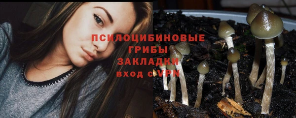 прущий лед Абаза