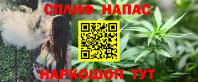шишки Славянск-на-Кубани