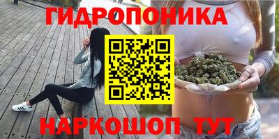 PSILOCYBIN Сланцы