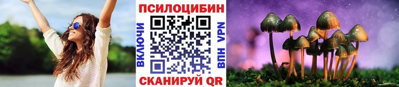Галлюциногенные грибы Cubensis  купить наркоту  kraken как войти  Сунжа 