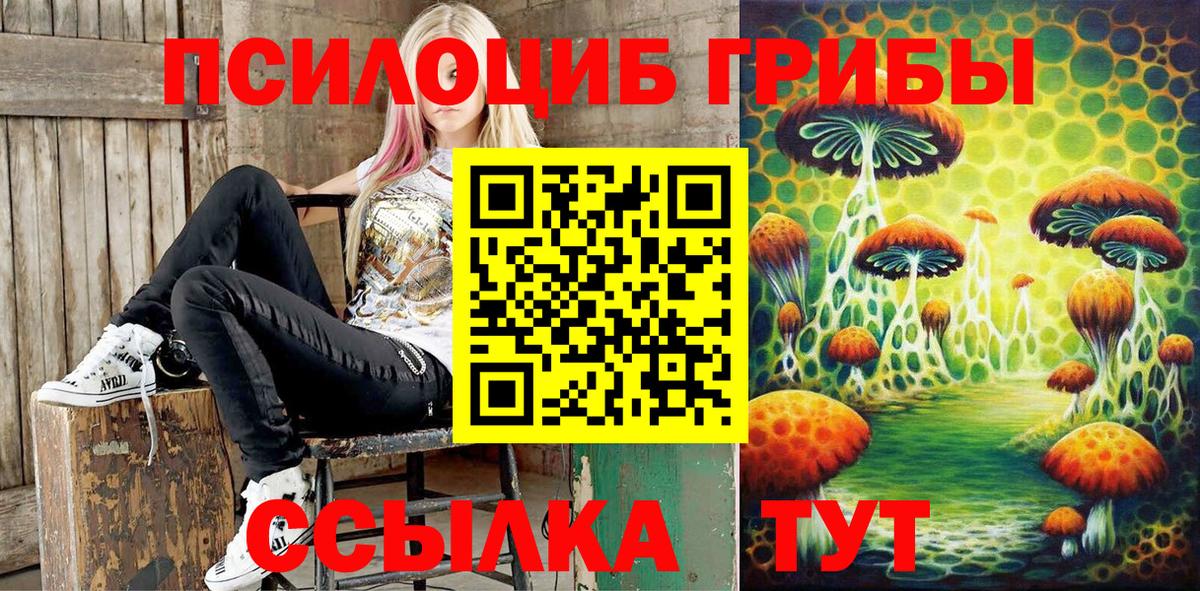 Галлюциногенные грибы Psilocybe  Галлюциногенные грибы GOLDEN TEACHER  Вход с VPN  Сунжа 